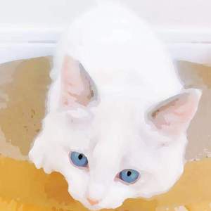 荷兰鲜嫩BBBwBBBw
